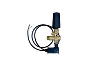 Bypass valve BTV31T 310 bar met schakelaar